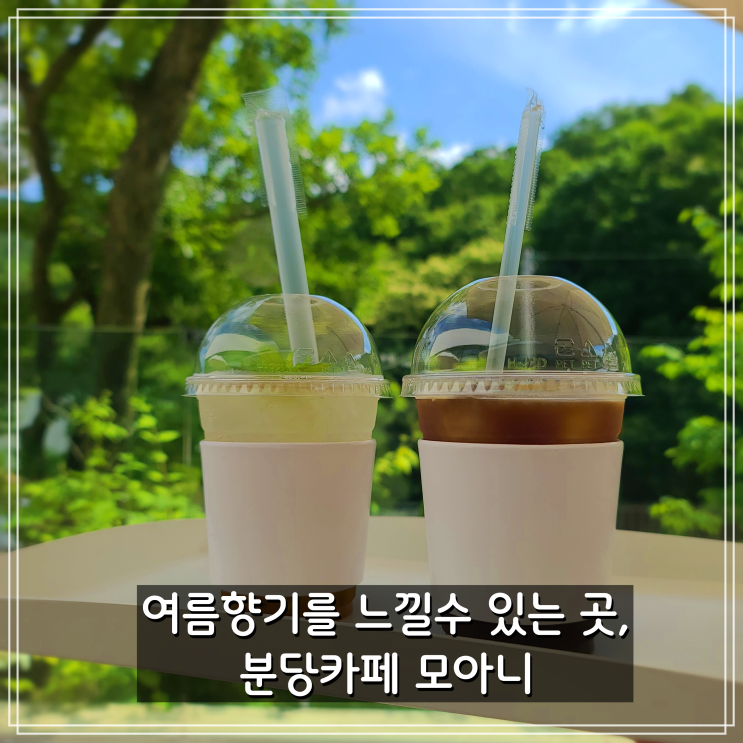  여름 향기를 느낄 수 있는 곳 분당 금곡동 카페추천 카페모아니