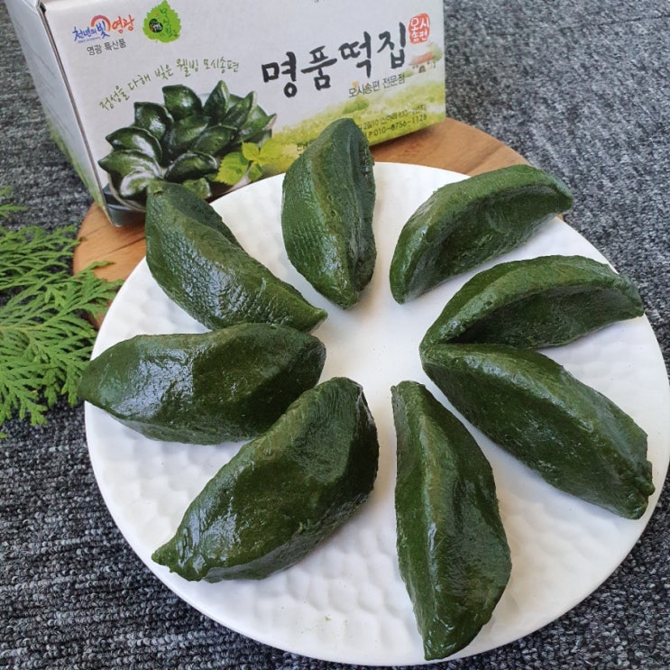 영광명품떡집 쫀득한 모시송편 간단하게 아침대용으로 최고!