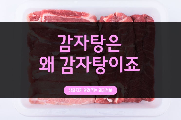 전통참돼지가 알려주는 돼지정보_감자탕 이름 뜻이 뭐죠