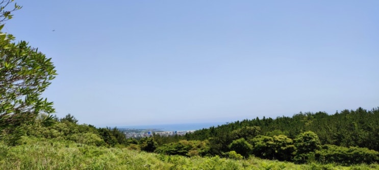  제주도여행 매오름오르기