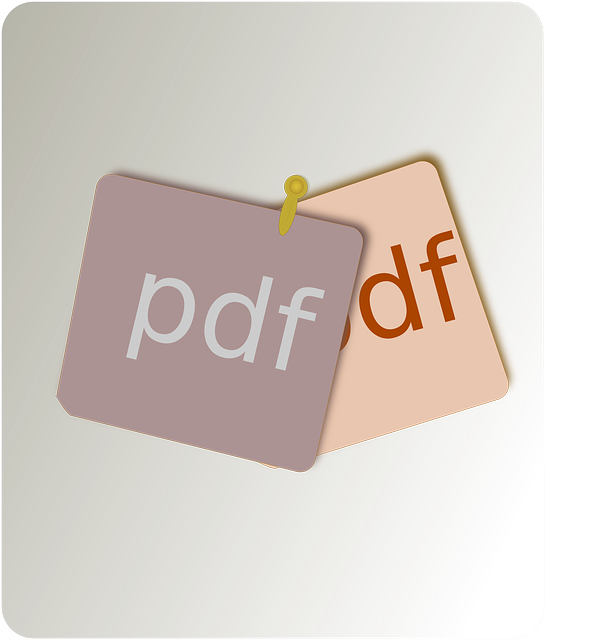  PDF변환 프로그램 Adobe Acrobat (어도비 아크로뱃), ABBYY FineReader PDF (파인리더PDF)로 PDF 워드 변환 하기!