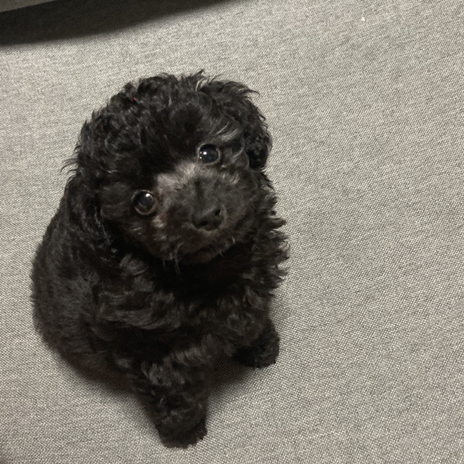  [김콩지]1월_1