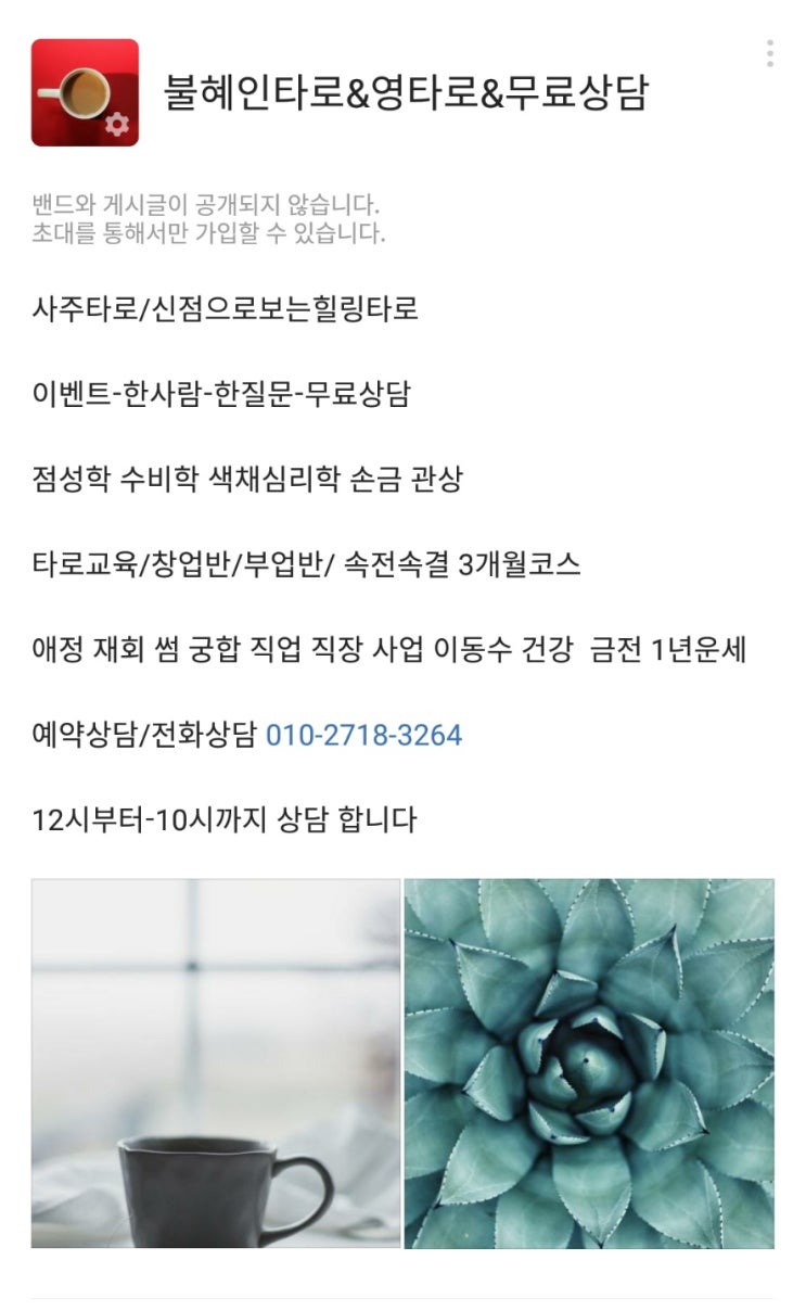  무료로 타로 봐드립니다