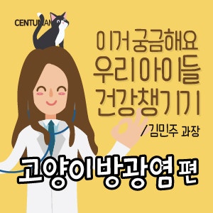 고양이 방광염 편 (이거 궁금해요! 우리 아이들 건강 챙기기 / 김민주 과장)