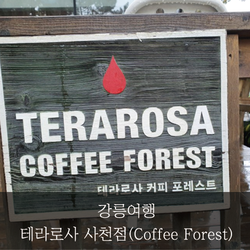 [미래신용정보 미래서포터즈] 강릉여행_테라로사 사천점(Coffee Forest)