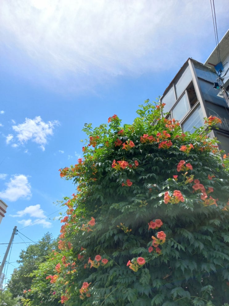  슬기로운 직장생활의 여유~