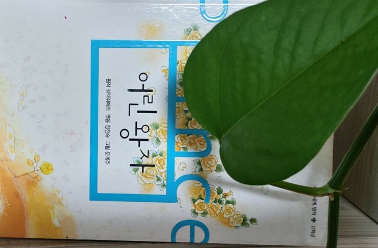 어린왕자 쌩텍쥐베리 동화 여우와의 대화편 삶이란 어린왕자 쌩텍쥐베리 동화 여우와의 대화편 삶이란