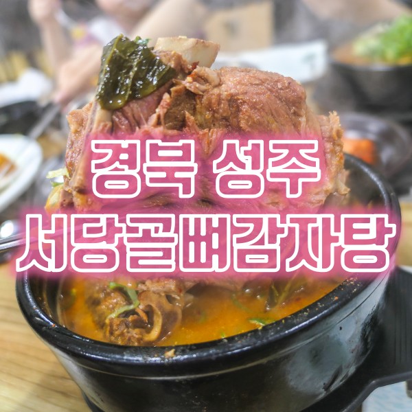  성주 선남 맛집 서당골뼈감자탕 뚝배기뼈해장국