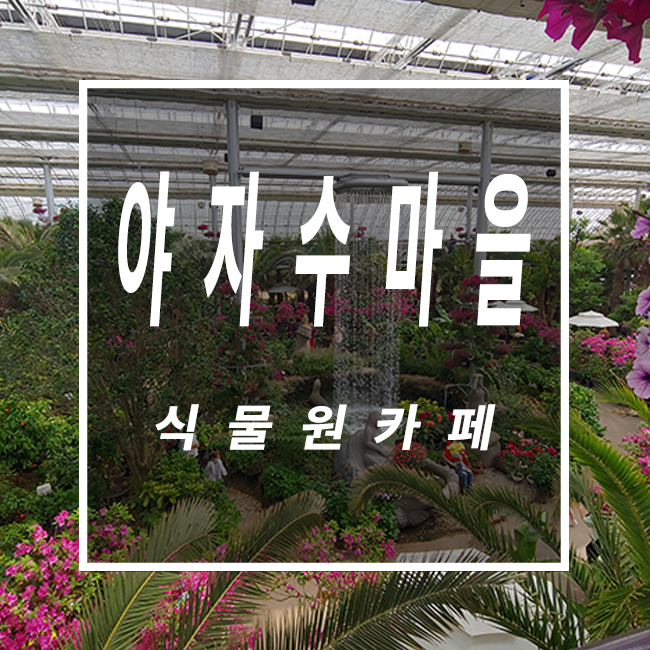  야자수마을 식물원카페 화성 주말나들이 가볼만한곳 추천