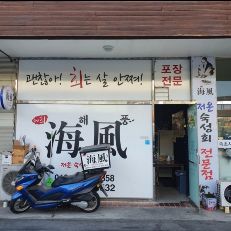  속초회포장 숙성회 맛집