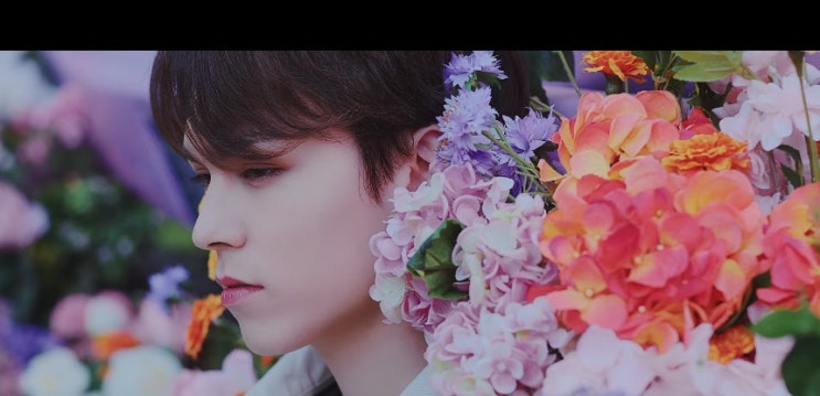  [MV] 세븐틴 (SEVENTEEN) _ Ready to love [뮤비/가사/듣기]