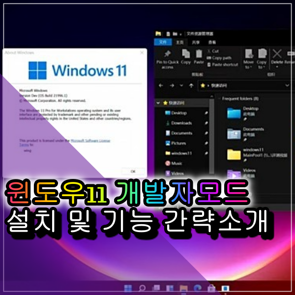  윈도우11 개발자모드 간략한 소개와 세부 기능 알아보기 도레Tube