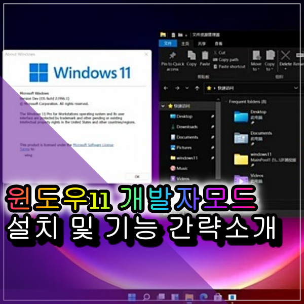 윈도우11 개발자모드 간략한 소개와 세부 기능 알아보기 도레Tube