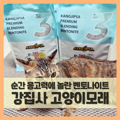  고양이모래추천 강집사 프리미엄 블렌딩 벤토나이트모래 굉장한데!