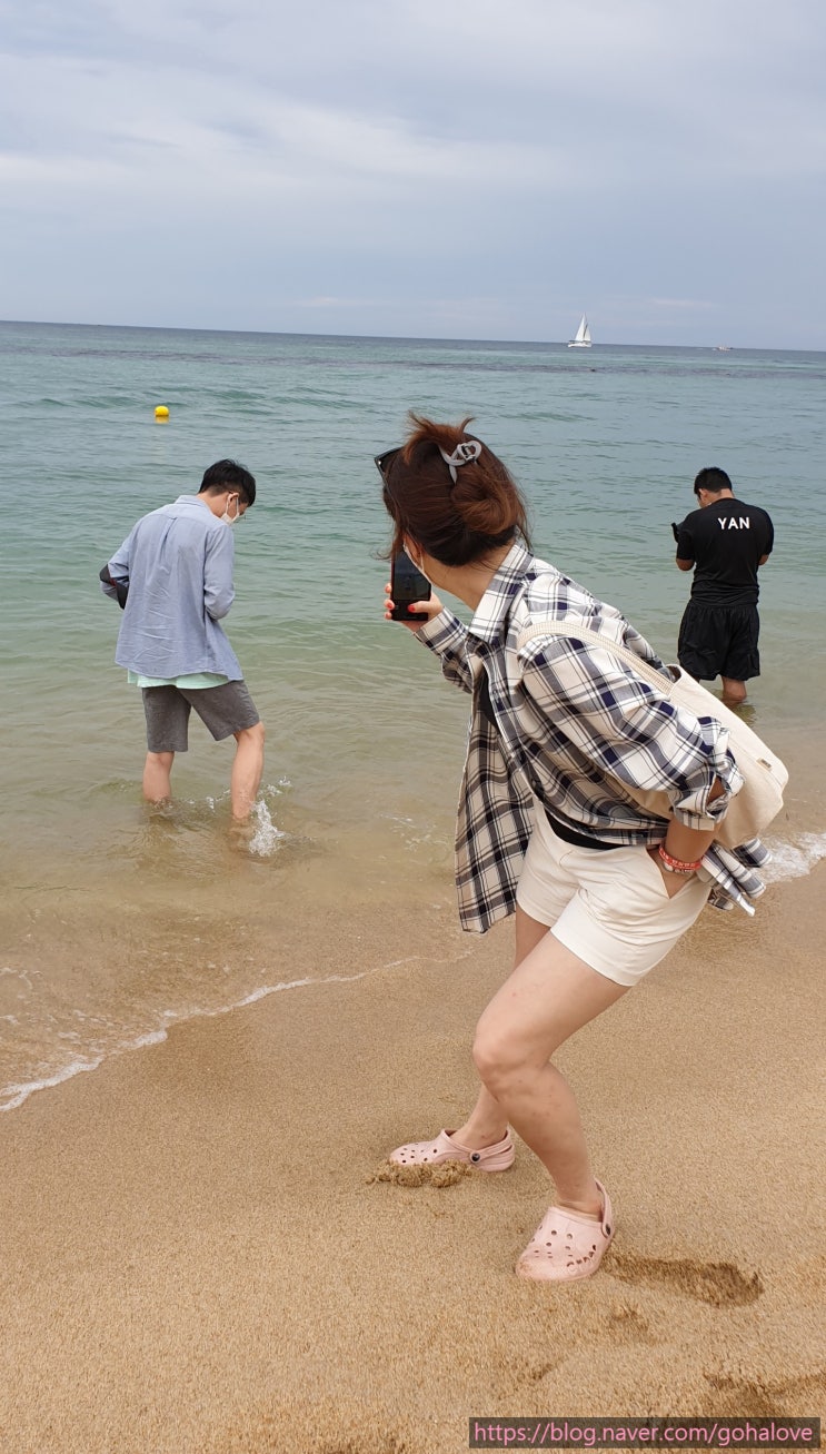  강릉 안목해변 & 강릉 커피(카페) 거리