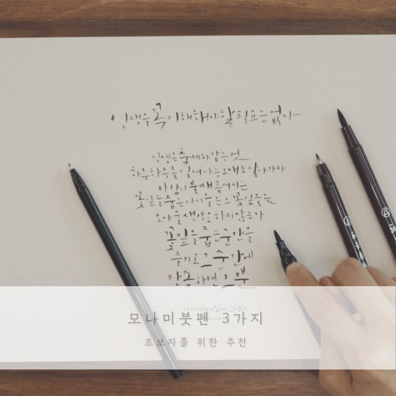 모나미 붓펜 3가지 비교, 초보자를 위한 추천