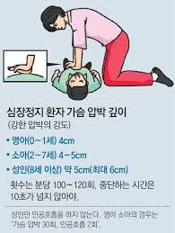 간호학공부 심폐소생술CPR순서 ventilator종류 shock원인간호중재 골든타임4분