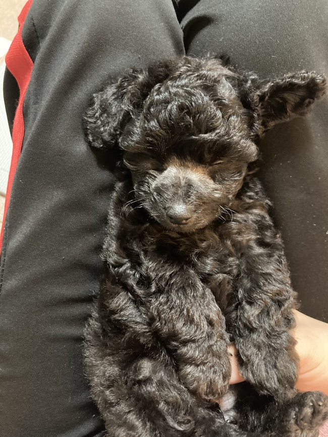  [김콩지]_12월