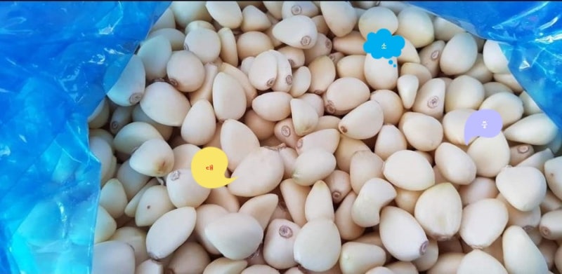 마늘 한접 반접 몇개인지 알려드릴께요 : 네이버 블로그 마늘 한접 반접 몇개인지 알려드릴께요 : 네이버 블로그