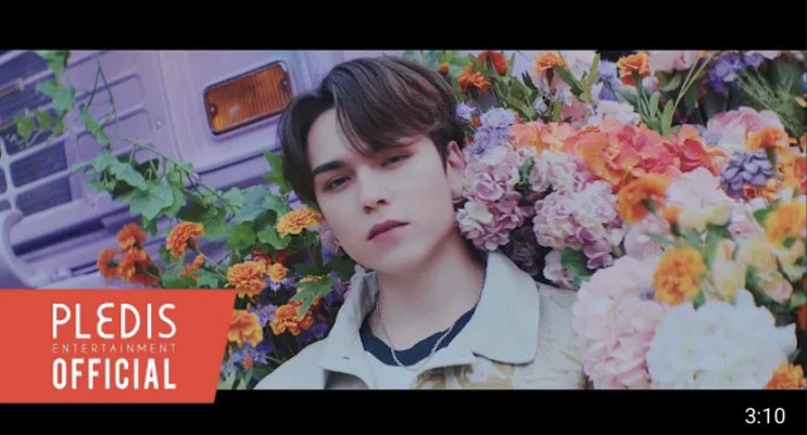  세븐틴 <Anyone> 해석(3)