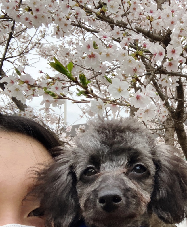  [김콩지] 4월_1