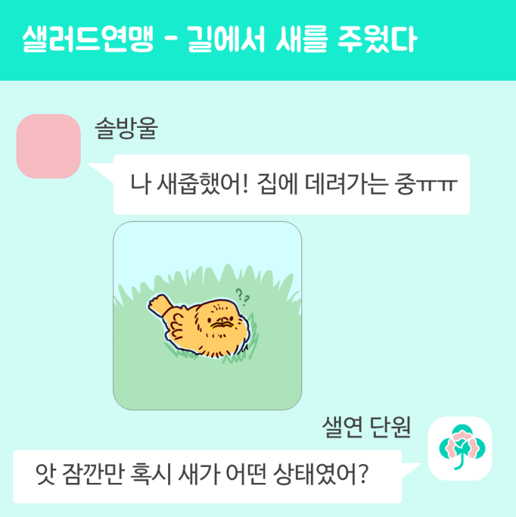  길에서 새를 주웠다면 어떻게 할까? 새줍시 알야야 하는 정보 정리