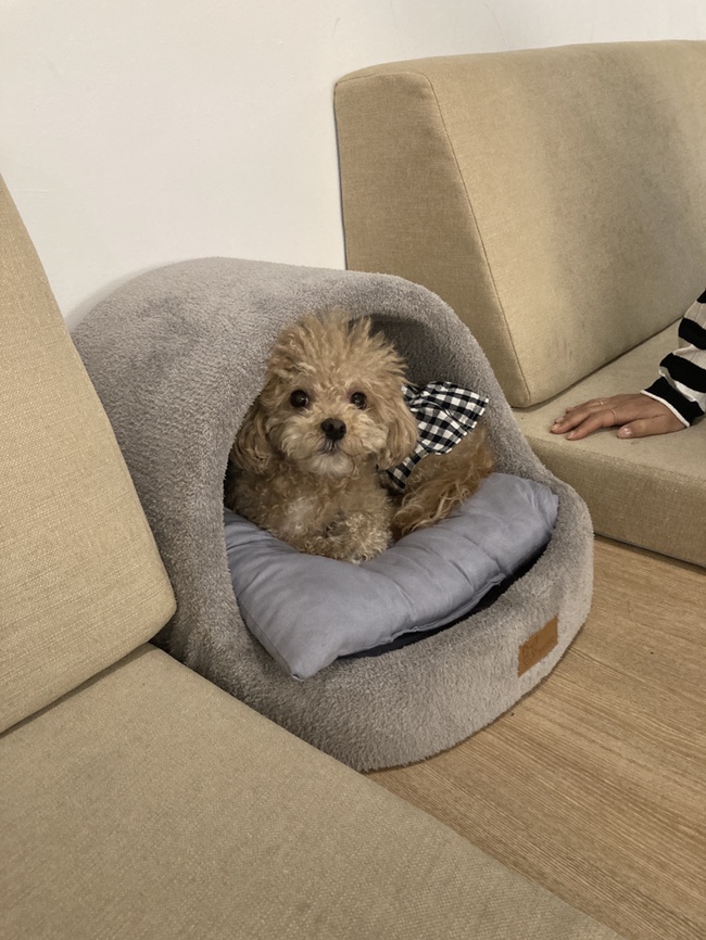  [김콩지] 4월_2