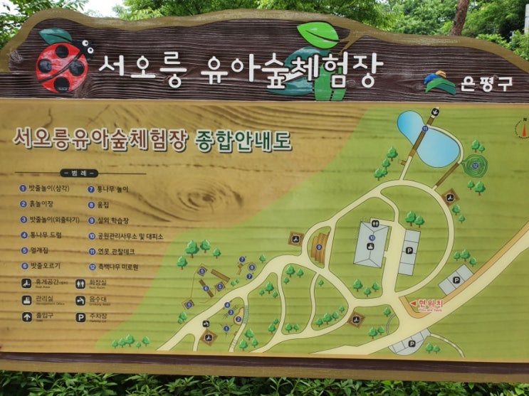 [4세+3세 연년생 가정보육 6월 여름 나들이/야외활동] 탑골생태공원 (서오릉 유아숲 체험원)