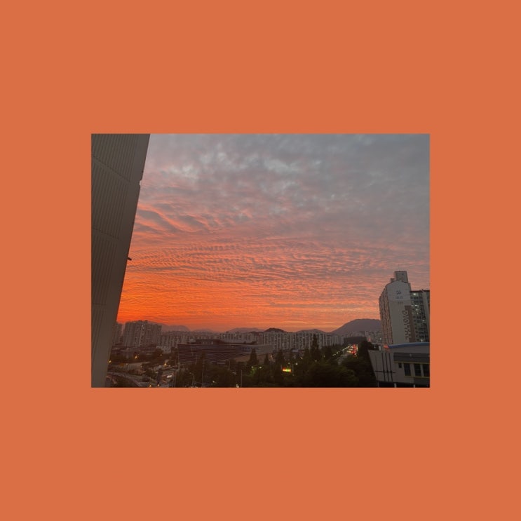  이쁜 세상/노을