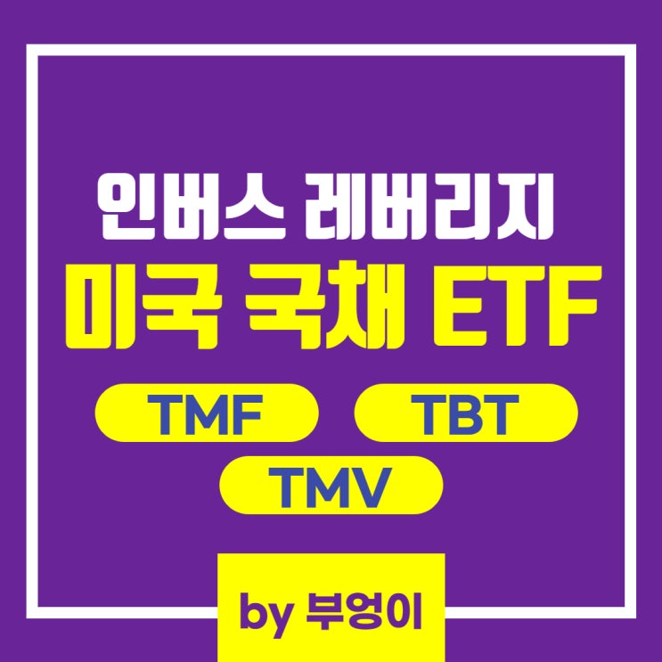 미국 국채 레버리지 ETF - TMF, TBT, TMV (ft. TLT)