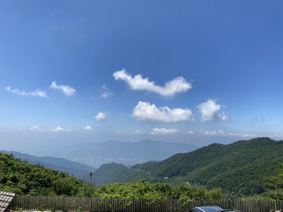 충남식당 사진 5