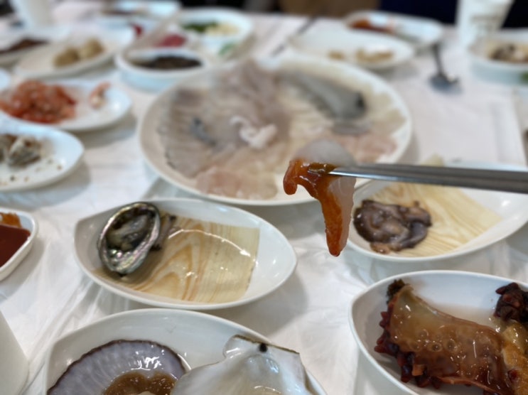  양양 남애항 맛집 나림횟집 3호 자연산 모듬회 현지인맛집 추천