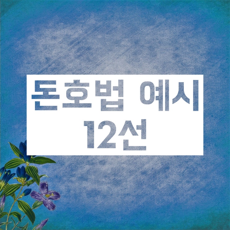 돈호법 :: 확실한 뜻과 다양한 예시로 학습해보자!