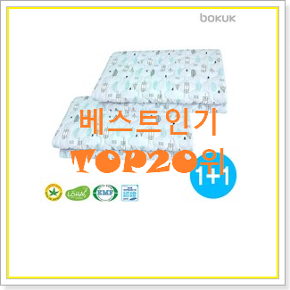  선물같은 보국캠핑전기요 사는곳 공유 맘에 쏙 드네요