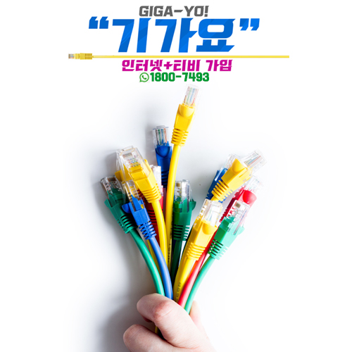  안녕하세요 가입정보