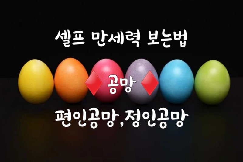 셀프 만세력 보는법 ♦️공망♦️편인공망,정인공망 (마음 비우고 살아야 평안) : 네이버 블로그 셀프 만세력 보는법 ♦️공망♦️편인공망,정인공망 (마음 비우고 살아야 평안) : 네이버 블로그