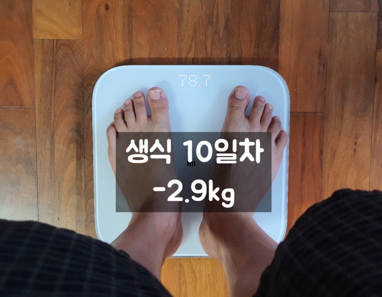  황성주 생식(10일차) 체중 감량  성공