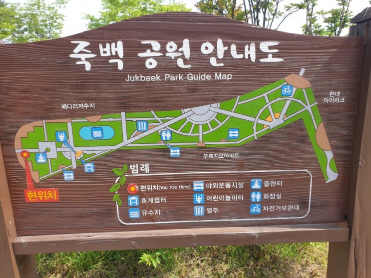  레오니드 V430과 함께 주말 아침 자전거 샤방 라이딩~~~