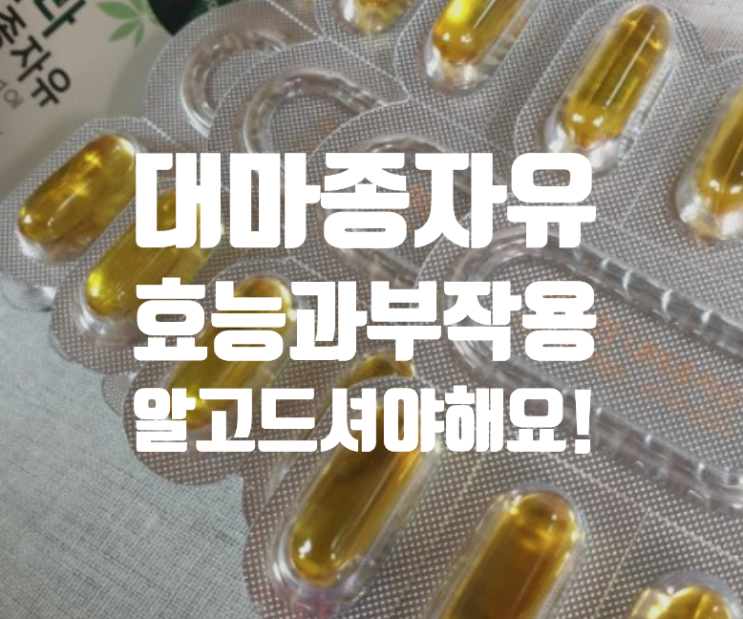  대마종자유 다이어트 효능 부작용 가격 확실히 알고 섭취해야하는 이유