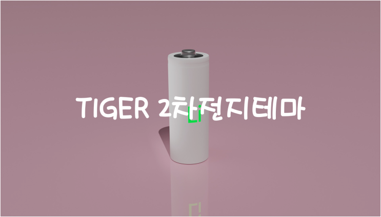  국내 2차전지 벨류체인 기업들에 투자하는 TIGER 2차전지테마