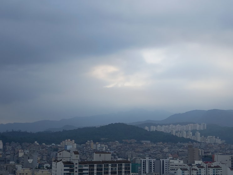 살아가며 배운 것은 살아가며 배운 것은