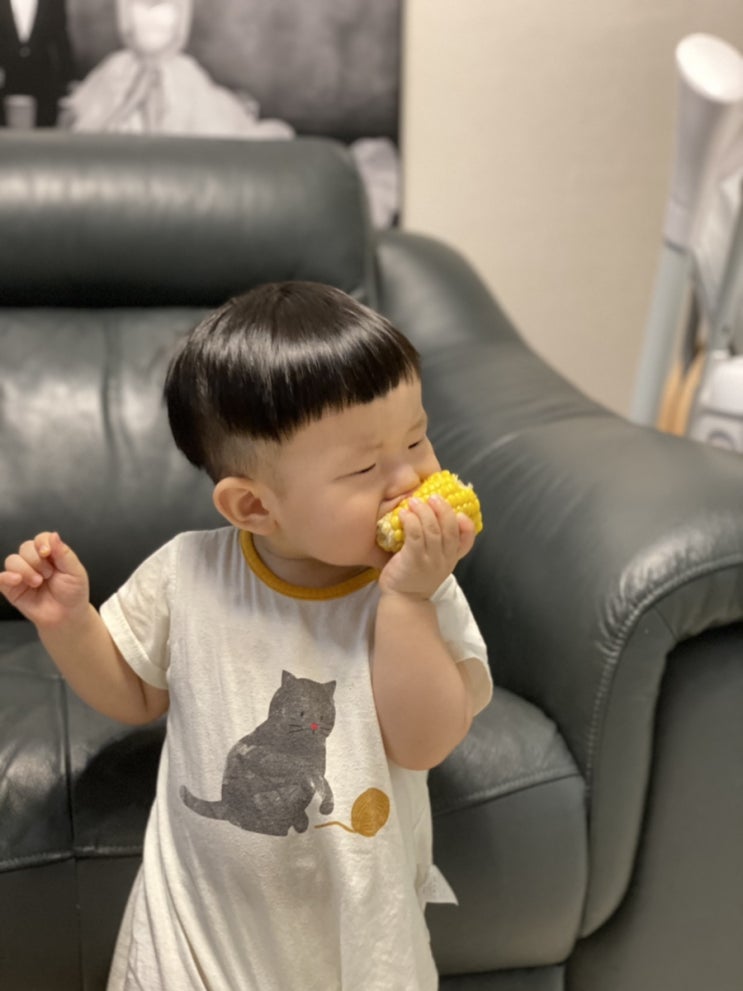  15개월아기 초당옥수수 홀릭 첫 옥수수