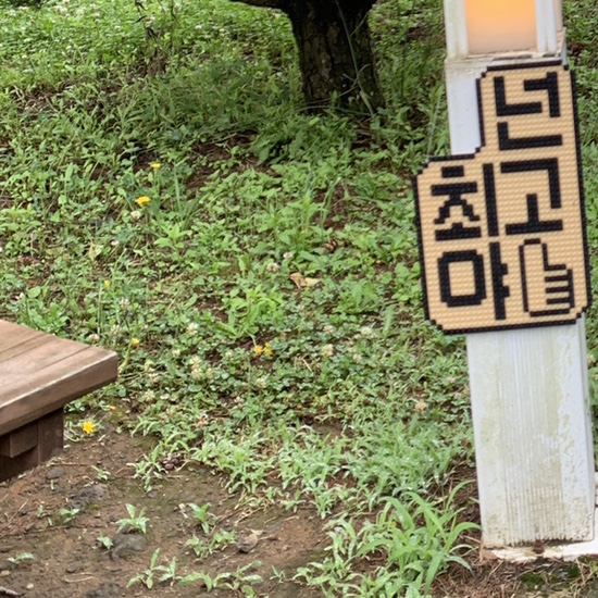  제주 3일차 브릭캠퍼스제주. 동문시장