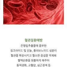  징코 은행잎추출물효능 부작용권장량:중풍치매예방 혈액순환 수족냉증 발기부전 이명증 주의사항
