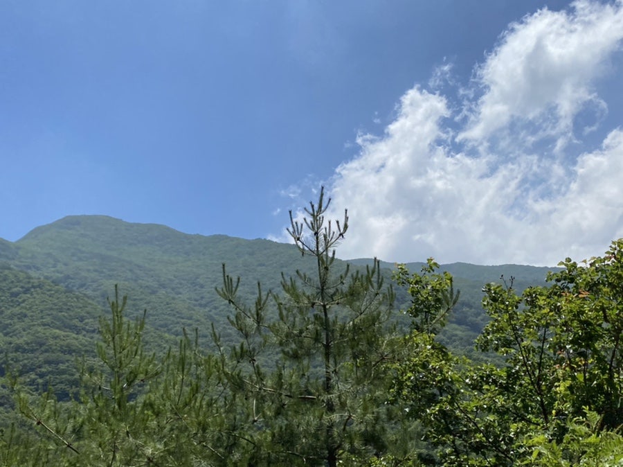 충남식당 사진 3