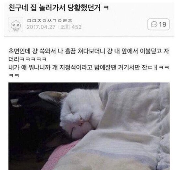 이정도면 사람 아니냐며