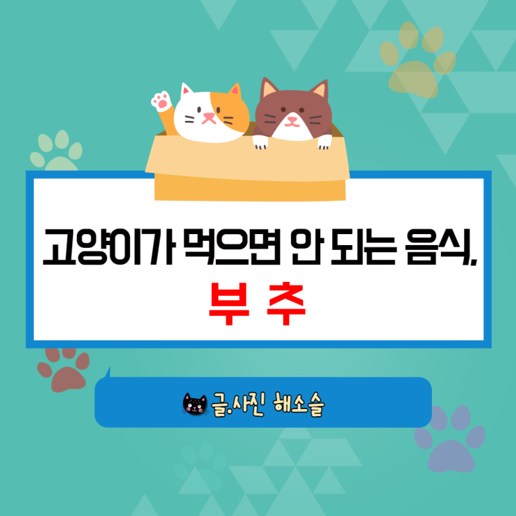  고양이가 절대 먹으면 안 되는 음식, 부추!