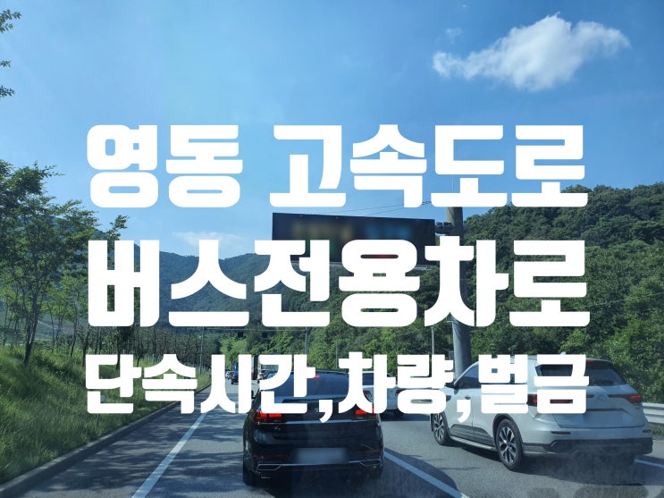  영동고속도로 버스전용차로 시간 알아보고 운행해요!, 단속 및 운행차량