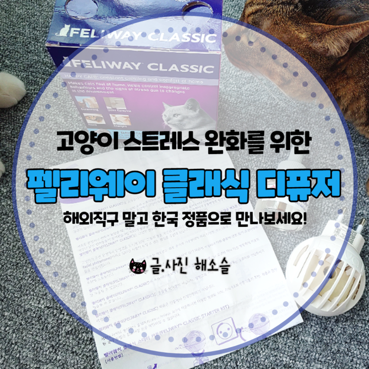  고양이 스트레스 완화에 도움 되는 펠리웨이 클래식 디퓨저, 해외 직구 말고 한국에서 빠르게 만나보세요!