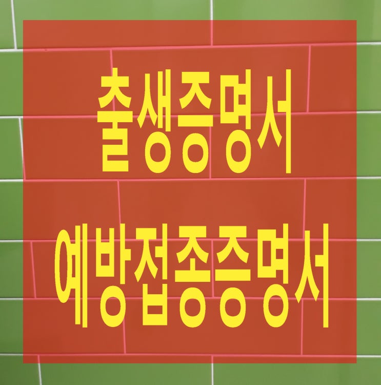  중국아기 출생증명서, 예방접종증명서 번역.공증.중국영사관 인증